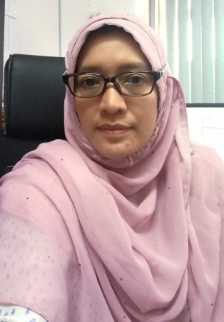 Anis Shobirin Meor Hussin